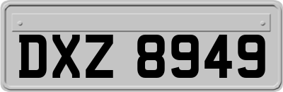 DXZ8949