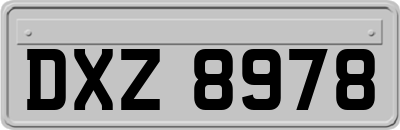 DXZ8978