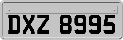 DXZ8995
