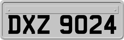 DXZ9024