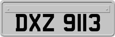 DXZ9113