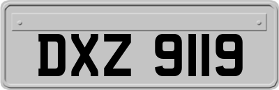DXZ9119