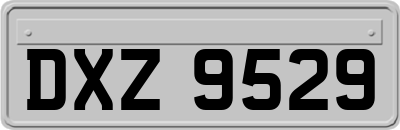 DXZ9529
