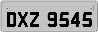 DXZ9545
