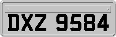 DXZ9584