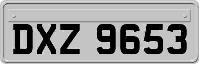 DXZ9653