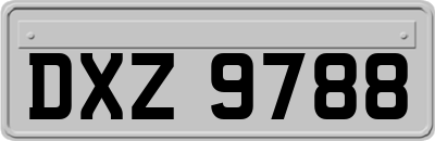 DXZ9788