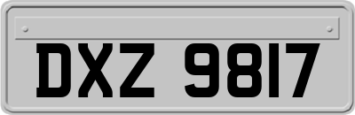 DXZ9817