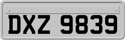 DXZ9839