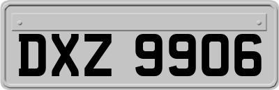 DXZ9906