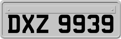 DXZ9939