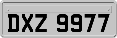 DXZ9977