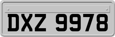 DXZ9978