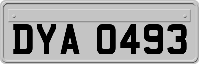 DYA0493