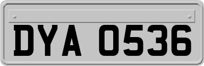 DYA0536