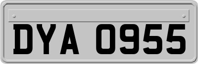 DYA0955