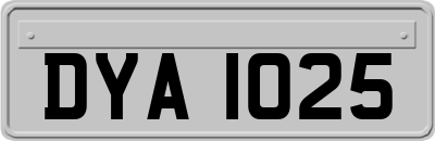 DYA1025