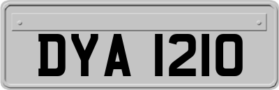 DYA1210