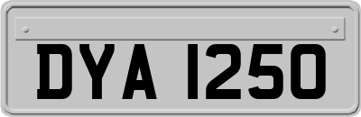DYA1250