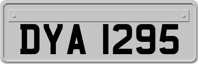 DYA1295