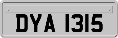 DYA1315