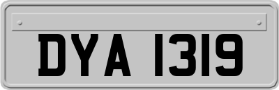 DYA1319