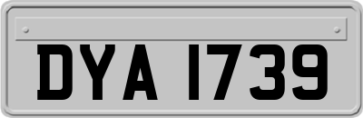 DYA1739