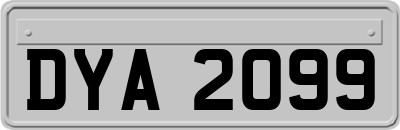DYA2099