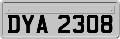 DYA2308