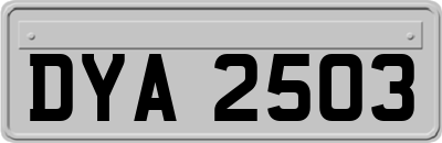 DYA2503