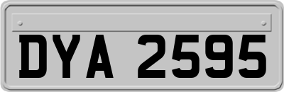 DYA2595
