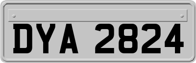 DYA2824