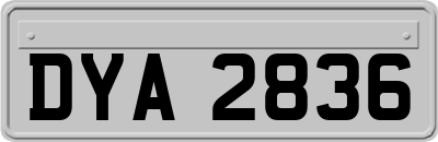 DYA2836