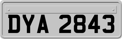 DYA2843