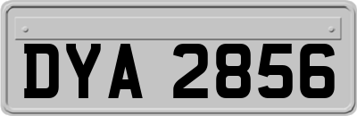 DYA2856