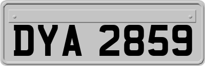 DYA2859