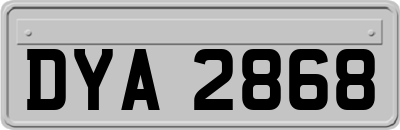 DYA2868