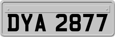 DYA2877