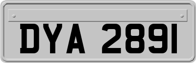 DYA2891
