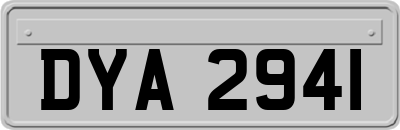 DYA2941