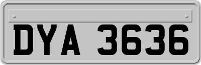 DYA3636