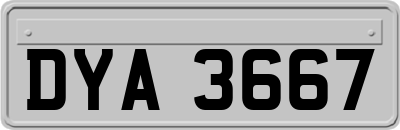 DYA3667