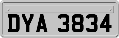 DYA3834