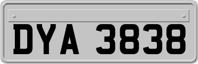 DYA3838