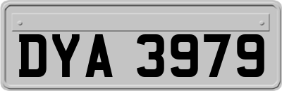 DYA3979