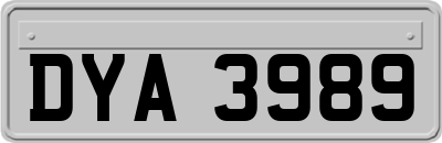 DYA3989