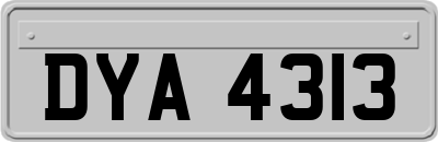 DYA4313