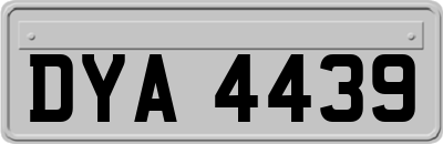 DYA4439