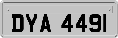 DYA4491