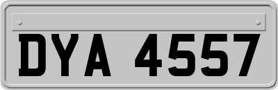 DYA4557